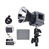Aputure