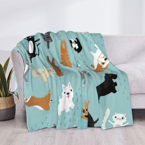 Couverture de lit EdWal en microfibre hypoallergénique motif chat - 6