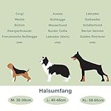 PEUZ Aufblasbare Halskrause für Hund – Verstellbarer Leckschutz Hund Umfang 40-48 cm, Komfortabler Schutzkragen nach OP – Grau L