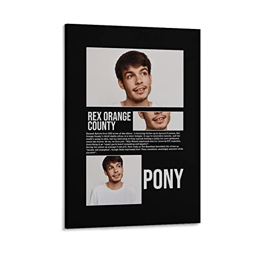 Poster Rex Orange County Déco Chambre Affiche Toile Salon 30x45