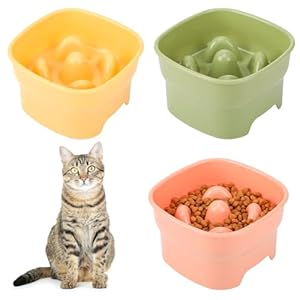 saerryor 3Pcs Raised Cat Bowl Cat Bowls with Stand Tilted Elevated Cat Slow Feeder Cat Food Bowls Ergonomic Cat Feeding Bowls Cat Food Water Bowl Cat Dishes Raised Cat Feeder