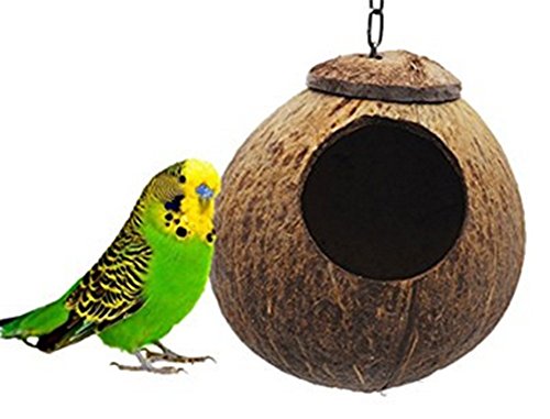 spaufu de nido de pájaro suspendida en carcasa de nuez de coco natural dormir para loro Ara pequeños pájaros decoración de casa jardín