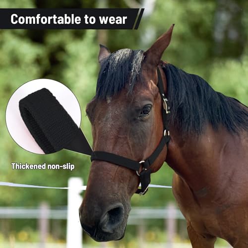 ZRSCHYG Horse Halter, Adjustable Nylon Strap with Metal Hardware (Black, M) - Thumbnail 4