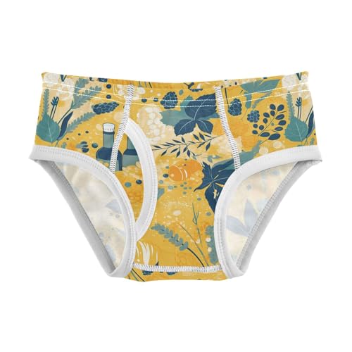 visesunny Boys Potty Training Underwear Flower Grape Beer Breathe Cotton Briefs Size 2T-8Y for Toddler