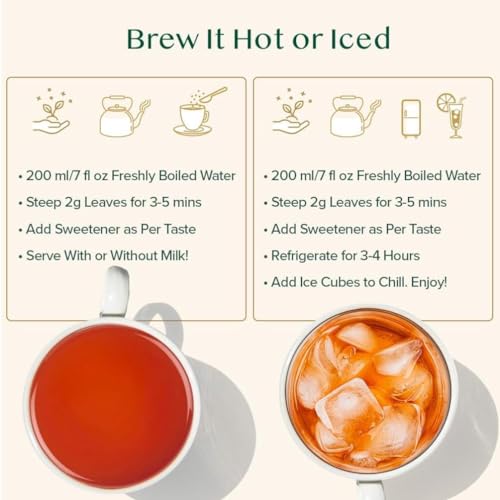 VAHDAM, Earl Earl Grey Tea Loose Leaf - 500 g | Citrusy & Delicious Black Tea blended With Natural Oil of Bergamot | Brew Hot/Iced
