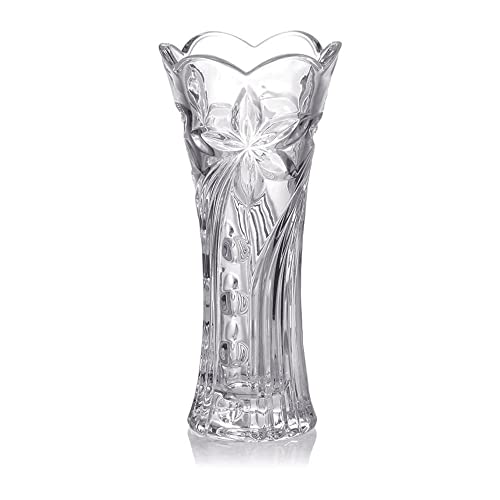 Hauskraft VASO-032 Vaso Hebe, Transparente, 19.5 cm