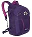 Osprey Packs Perigee Daypack, Mariposa Purple
