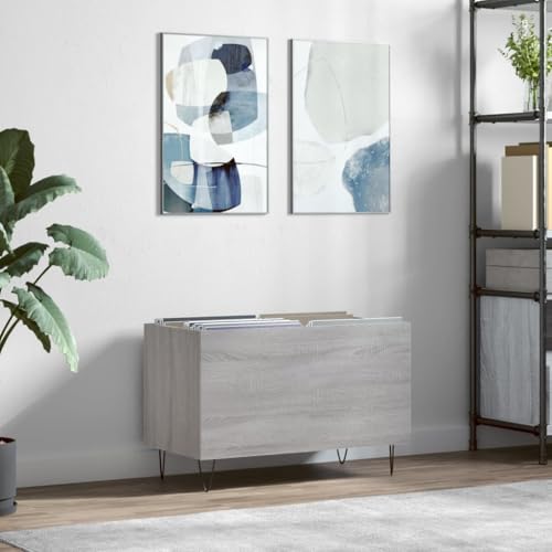 Sinkzol Sonoma - Armario con paneles (madera, 74,5 x 38 x 48 cm, con patas de hierro, espacio para discos de vinilo, adecuado como armario multimedia, mueble de TV, aparador bajo)