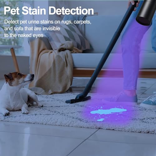 UV Flashlight Rechargeable 365nm Black Light for Pet Urine Detection,Small Ultraviolet Flashlight for Resin Curing,Rocks and Minerals,High Definition Pure Ultraviolet(Battery Included)