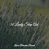 Lost in Relaxation Records