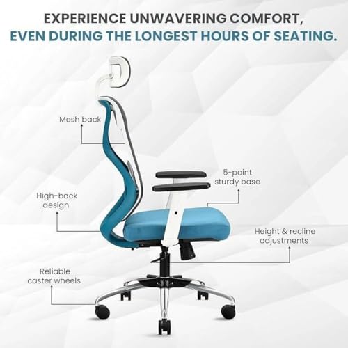 Image of IAFA FURNITURE Ergolux High Back Ergonomic Office & Study Chair | 3 Year Warranty | Adjustable Height, Tilt Lock, 2D Headrest, Adjustable Arms & Lumbar Support | Heavy Duty Metal Base | DIY | (Teal)