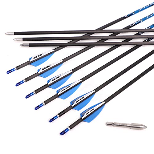 ACCMOS ID 4,2 mm Flecha de Tiro con Arco Spine 300 350 400 500 600 700 800 900 1000 Flecha de Caza para Adultos Pluma de Ranura Aire para Juventud Flechas de Práctica de Tiro 12pz (31inch, Spine 700)