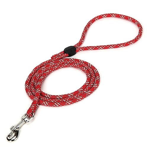 J&C Paradise nYt[[h {KX nhߕt ֗ y  V^ ^ ^ 1.2 p[h TRUELOVE (S, bh)