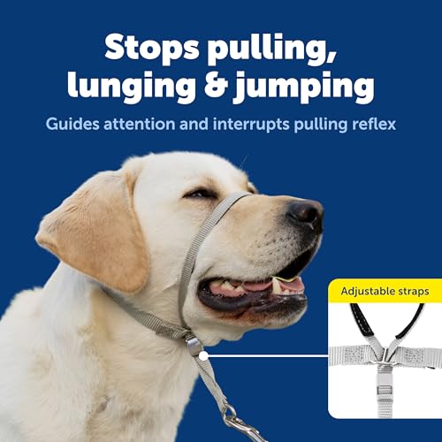 image for PetSafe Gentle Leader Headcollar No-Pull Dog Collar - Helps Improve Wa