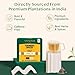 VAHDAM Té Herbal de Cúrcuma y Especias Imagen de VAHDAM Té Herbal de Cúrcuma y Especias
