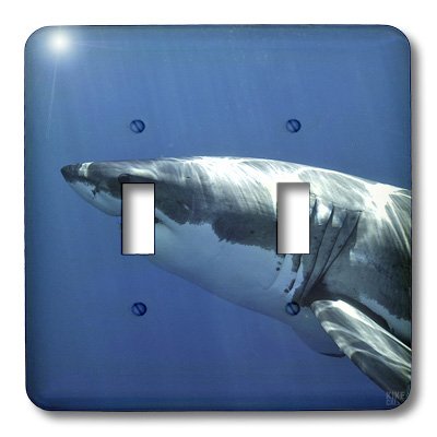 Interruptor doble lsp_10586_2 de tiburón blanco marca 3dRose LLC para interruptores 3