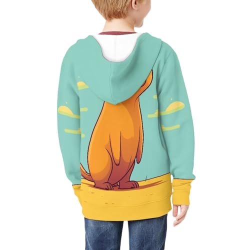 Hoodies Sweatshirts for Kids, Full Zip up Long Sleeve Hooded Pullover Tops with Pocket for 6-16 Years4