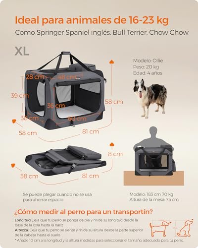 Perro, Pet Products Imagen adicional