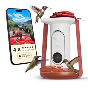 BIRD BUDDY® Solar Hummingbird Feeder with Camera – AI Hummingbird Identification, 5MP Photos, 2K HD+ Video Live Stream Camera, Solar-Powered Charging, 2.8in Focus – Red&White