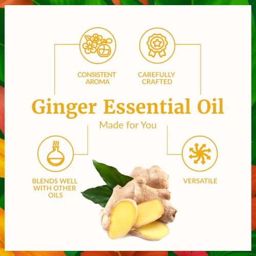 Image of SVA Ginger Essential Oil 1 Fl Oz - for Diffuser, Skin & Hair Care - Ideal for Massage & DIY Blends - with Dropper