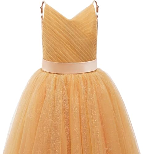 Flower Girls Dresses for Wedding Sleeveless Spaghetti Straps Dresses for Girls Sparkly Puffy Party Dresses PT1414