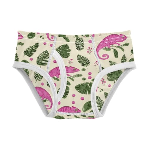 Wusikd Pink Chameleon Boys' Underwear Cotton Green Leaves Boys Briefs Soft Toddler Underwear 2T