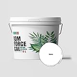 Color Blanco IQM FORCECAL - Pintura de cal ecológica