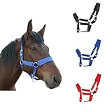 NIUTRIP Horse Halter with Wool Lining, Adjustable Halter for Horses Satin Hardware to Prevent Friction, Breakaway Halters for Horses,Perfect for Traction and Performance