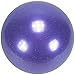 Rhythmic Gymnastic Junior Competition Exercise Ball 16.5cm 360G Olympic Spec for dance and performance (16.5cm Glitter Purple)