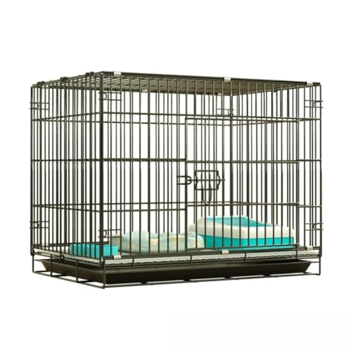 ��^�̔L�p�P�[�W�B���݂ƕ⋭����������Ă���A�������h�~�@�\�t���ŁA�t�B�I�Y�E�B�A���������ȒP�BFiozwea���^�L��q�L�ɍœK�ł��B�V���t���ŁA�܂肽���ݎ��f�U�C���B�ƒ�p�Ƃ��Ă��œK�ł� (60cm (����2cm),�u���b�N)