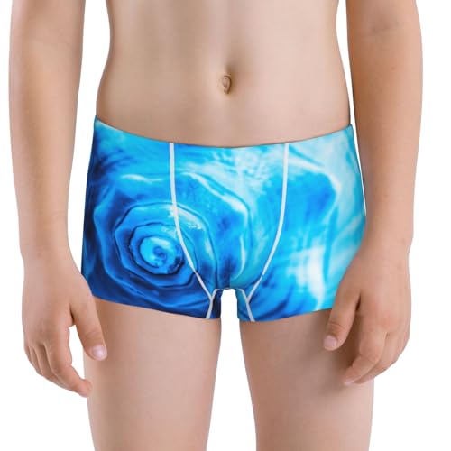 Boys' Cotton Boxer Brief Soft Underwear-Blue Shell - Main Image