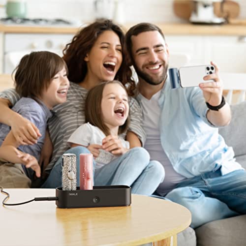 iWALK Charger Station for Portable Charger 3350mAh,4500mAh,4800mAh Power Bank for iPhone Charging Station Multiple USB-C Family-Sized Charger Station for Home(Station Only),Black