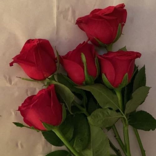 6 Barrinhas de Halawi de Rosas 40g