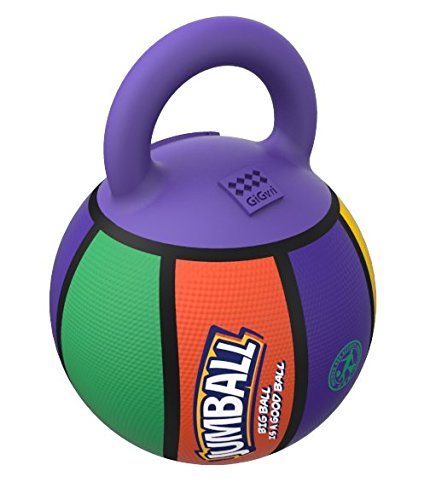 Pet Supplies : GiGwi Jumball Rubber Basketball Dog Toy with Handle