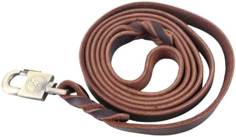 Jiawu Sturdy Dog Training Leash Made of Leather for Medium Large Dogs Walking and Training - 1