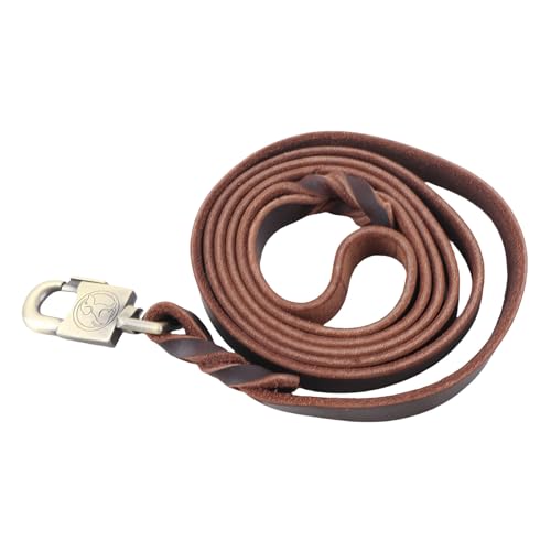 Jiawu Sturdy Dog Training Leash Made of Leather for Medium Large Dogs Walking and Training