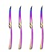 Gugrida Ensemble de 4 couverts de luxe en acier inoxydable 18/10 poli miroir coloré arc-en-ciel couteau à steak (25 cm)