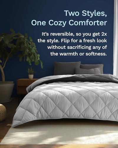 Image of ViscoSoft Queen Comforter - Cloud-Soft Down Alternative Duvet Insert, All Season Cooling Lightweight Reversible Quilted Blanket for Bedroom & Guest Room, Oeko-TEX Certified,Light /Dark Gray