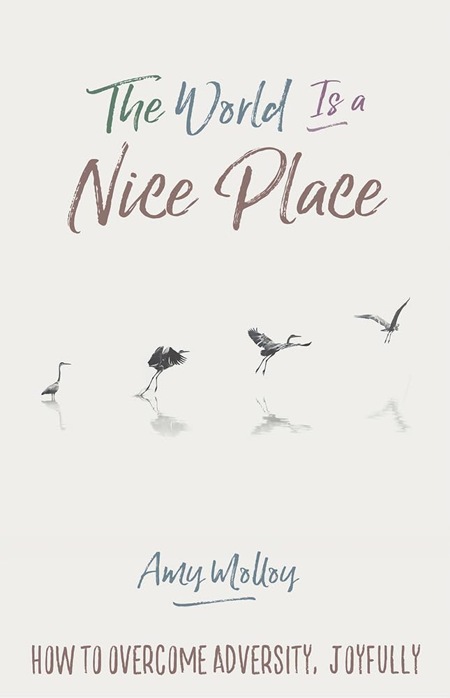 World Is a Nice Place, The: How to Overcome Adversity, Joyfully