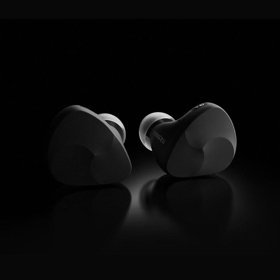 イヤホン AZLA TANGZU Noir Blanc AZLA NOIR BLANC サクッと見れる聴き込み有線イヤホンレビュー