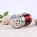 Imagen de Luxshiny 3 Dispensadores De Sal Y Especias Herméticos De Acero Inoxidable Para Cocina Repostería Y Barbacoa Pequeños Frascos Para Polvo