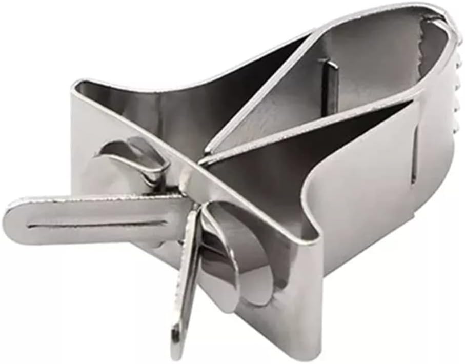 Bird Feeder Bird Parrot Treat Holder Small Animal Fruit Vegetable Feeder Metal Food Clip Feeding Tool Cage Accessories (Color : A, Size : One Size)