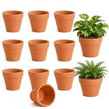 ZhouWei 10 Pza Macetas de Terracota 10X8cm Orificios Drenaje Parte Inferior