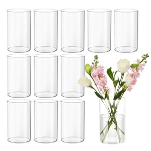 Devilfire 12Pcs Glass Cylinder vases for Centerpieces, 6 Inches Tall Flower Vases Wedding Decorations,Bulk Cylinder Flower& Plant Vases,Hurricane Candle Holder for Table Shelf, Party.
