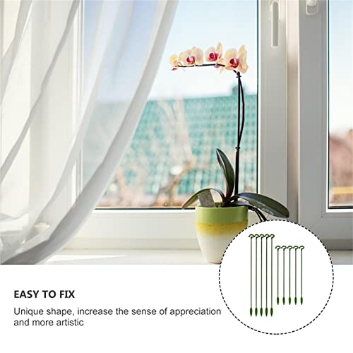 Estacas para plantas internas | 10 varetas plantas flor haste única | planta flor haste única para f