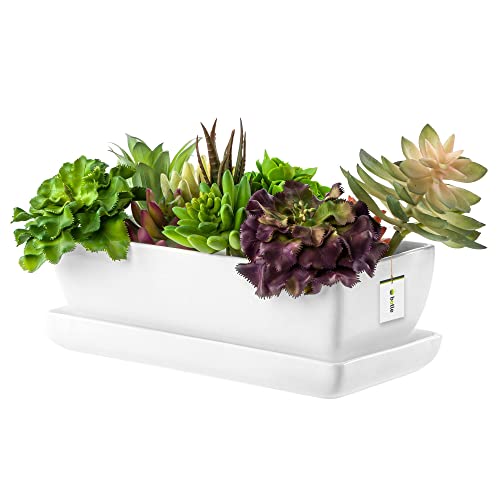 botle Keramik Blumentopf Blumenschale Kakteenschale Untersetzer Wasserloch Kakteen Bonsai Sukkulenten (rechteckig, Weiss)