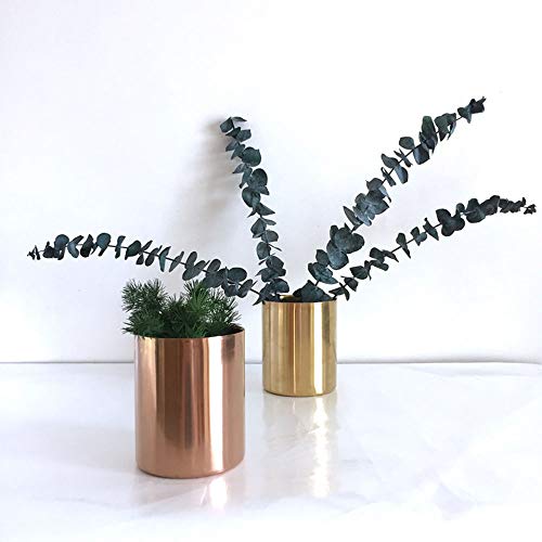 Multibey Golden Pen Holder Simple Gold Mini Vase (Gold) #TOP5