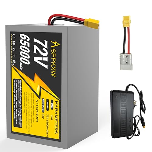 ASPPKXW 72V 65Ah Plug It. Forget It. Smart 35A BMS XT90 & Anderson 3A Charger Powers 250W-3500W E-Scooters E-Motorcycles DIY EVs