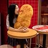 GOULIAN Chicken Nuggets Plush Toy Dolls,Chicken Nugget Pillow Stuffed Toy Artificial Chicken Nuggets Lifelike Food Funny…