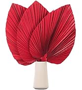 Large Dried Palm Leaves-17.7" Dried Palms Spear Plant Fans for Home Office Boho Decor | Tropical ...